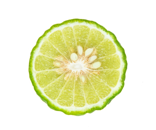 Bergamot 흰색 절연