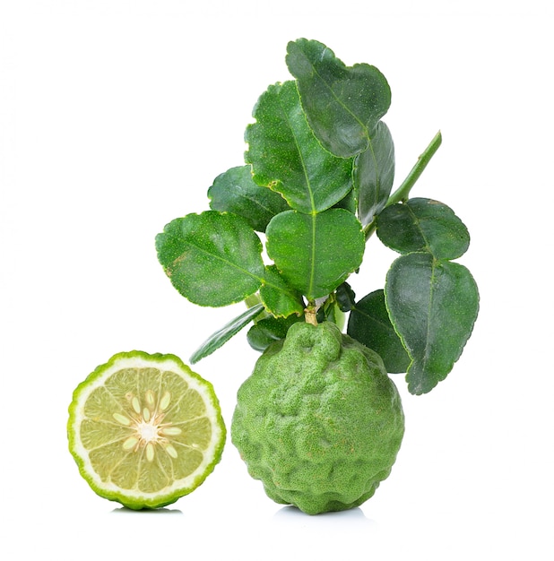 Bergamot isolated