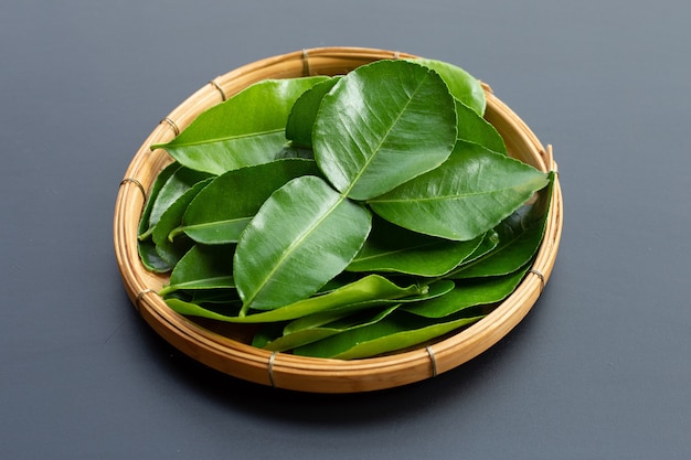 Bergamot kaffir lime leaves herb fresh ingredient on dark background.