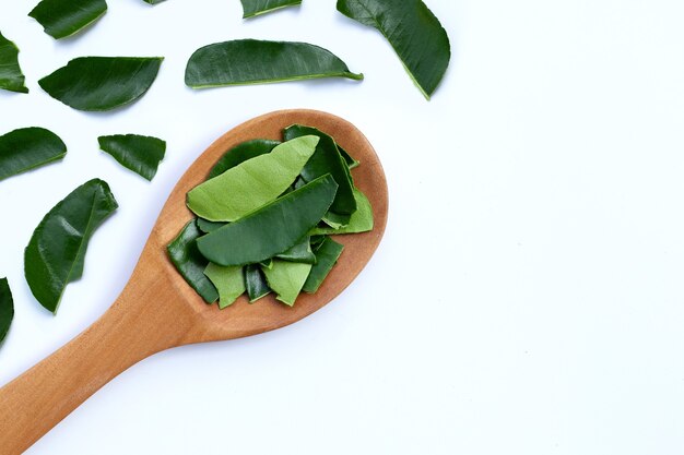 Bergamot kaffir limoenblaadjes kruid vers ingrediënt geïsoleerd op een witte achtergrond.