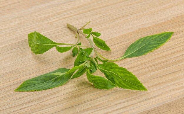 Bergamot leaves