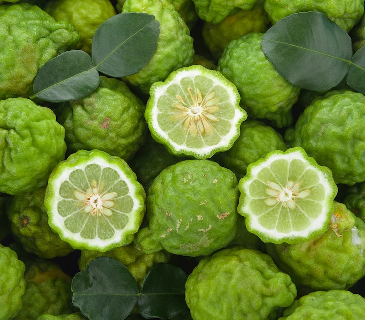잎이 쌓인 Bergamot