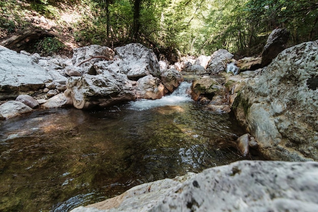 Bergbeek met helder water tussen rotsen in bos