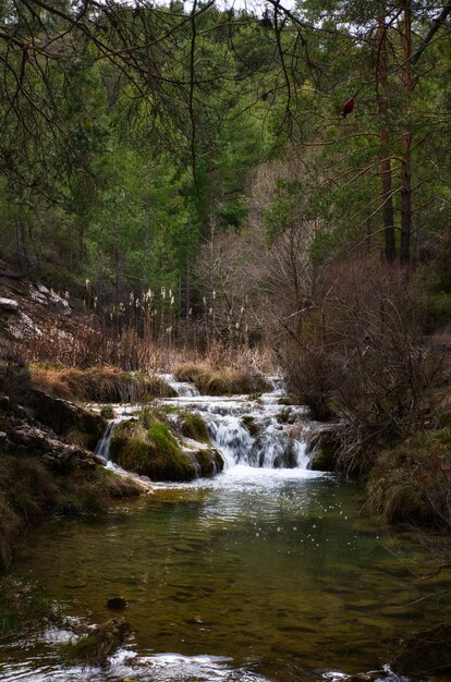 Bergbeek met kleine waterval