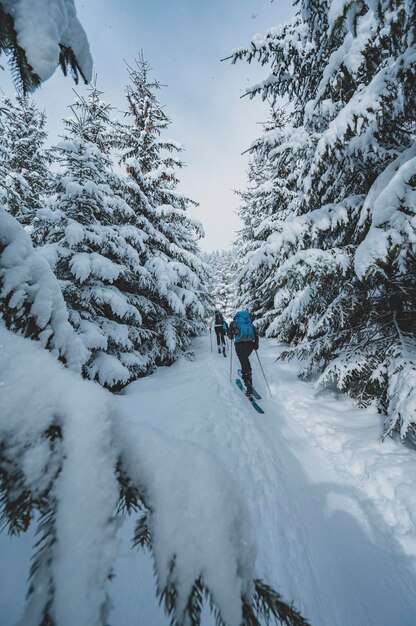 Bergbeklimmer backcountry ski wandelen ski-alpinist in de bergen Skitochten in alpenlandschap met besneeuwde bomen Avontuurlijke wintersport