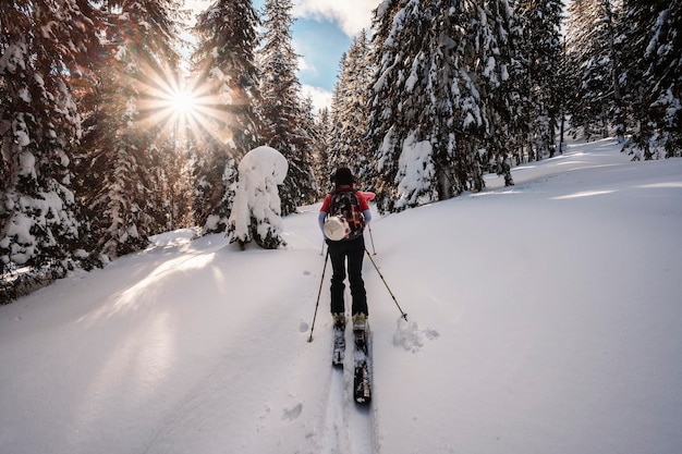 Bergbeklimmer backcountry ski wandelen ski-alpinist in de bergen Skitochten in alpenlandschap met besneeuwde bomen Avontuurlijke wintersport