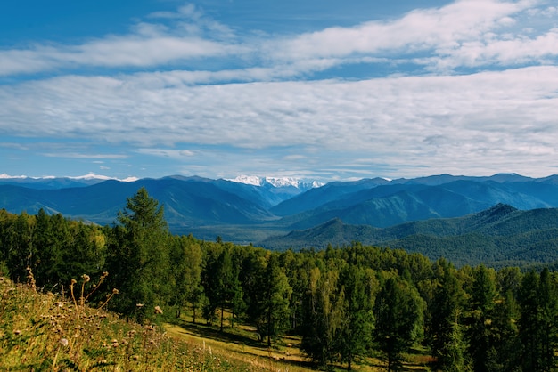 Bergdal met bomen en bewolkte hemel