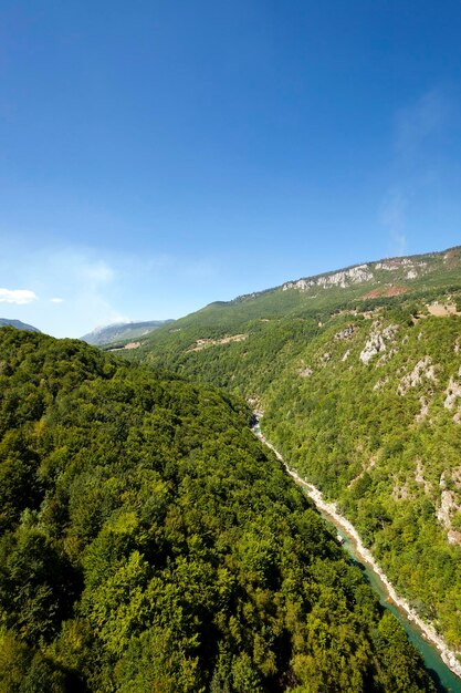 Bergdistrict andere planten Montenegro