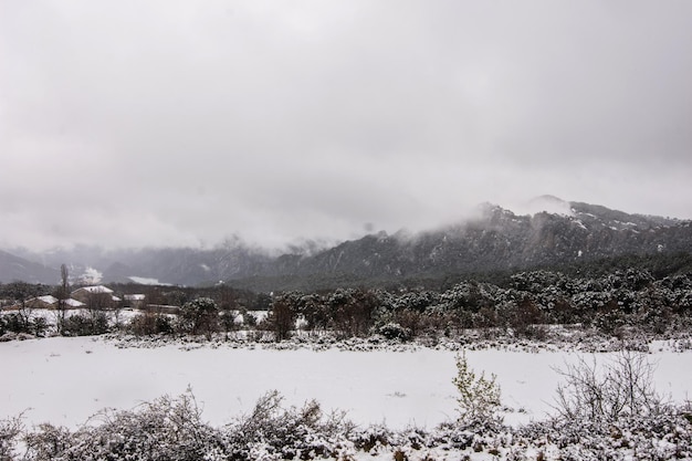 Bergen bedekt met sneeuw en mist in de verte in een besneeuwd landschap