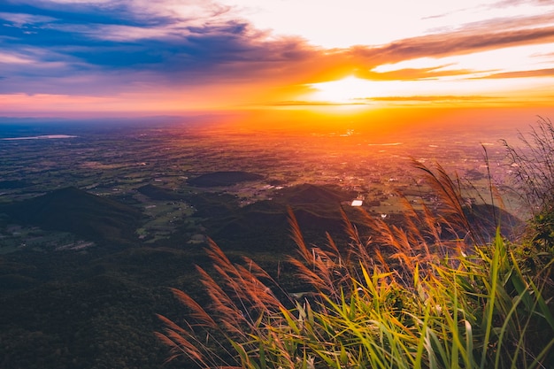 bergen bekijken zomer ochtend tijd landschap met zon en alpine dennen.