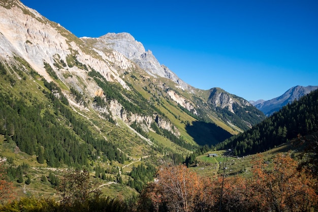 Bergen en boslandschap in Franse Alpen