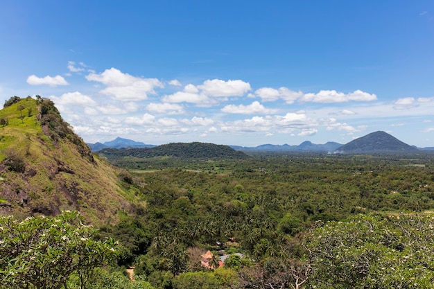 bergen en oerwouden in Sri Lanka, landschap