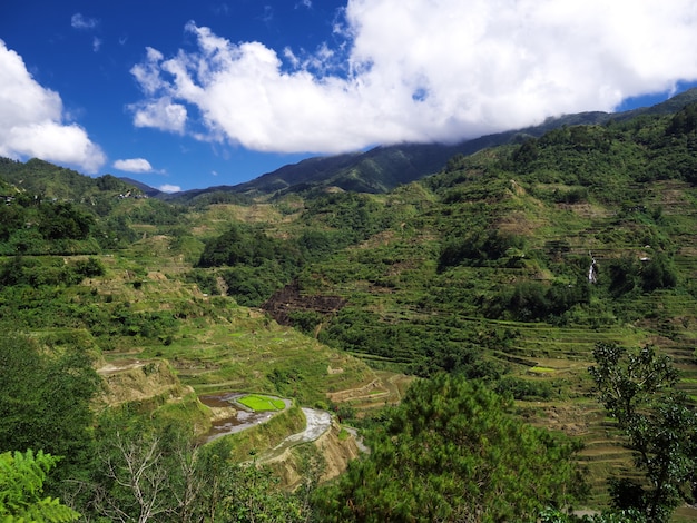 Bergen en valleien in Banaue, Filipijnen