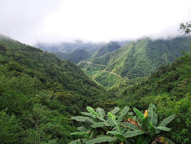 Bergen en valleien in Banaue, Filipijnen