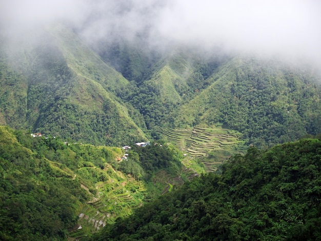 Bergen en valleien in Banaue, Filipijnen