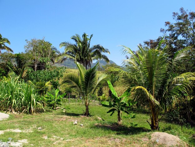 Bergen en valleien in Honduras