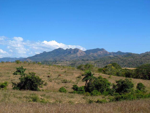 Bergen en valleien in Trinidad, Cuba