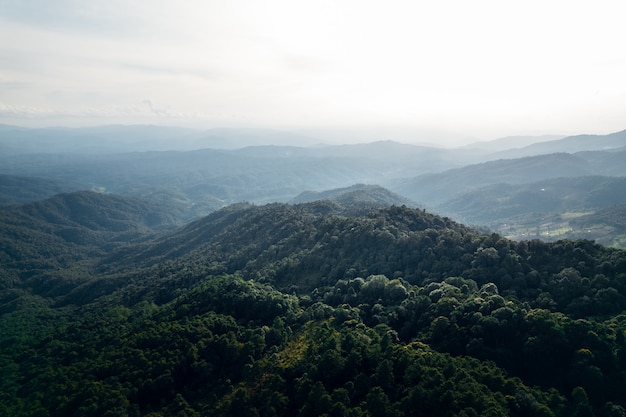 Bergen en zomerse groene bossen van bovenaf