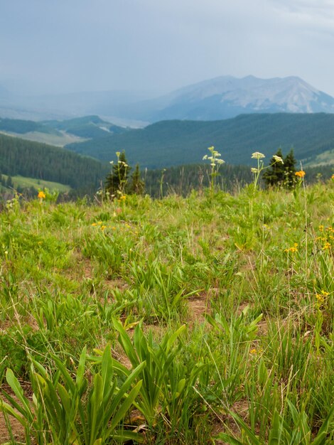 Bergen in Crested Butte, Colorado.