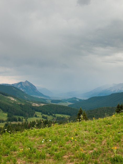 Bergen in Crested Butte, Colorado.