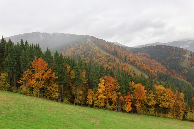 Bergen in de herfst