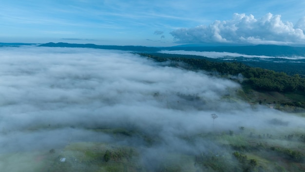 Bergen in de mist bij de mooie herfst in phetchabun thailand mist bergvallei lage wolken bos kleurrijke lucht met pijnbomen in spar mistig bos met heldere zonsopgang