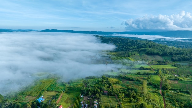 Bergen in de mist bij de mooie herfst in Phetchabun Thailand Mist bergvallei lage wolken bos kleurrijke lucht met pijnbomen in spar mistig bos met heldere zonsopgang