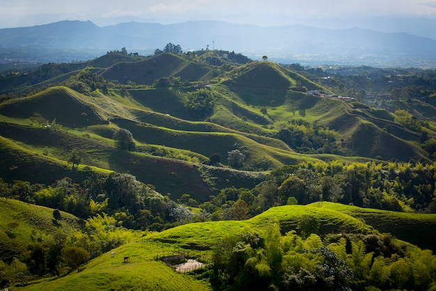 Bergen in de regio Quindio, Colombia