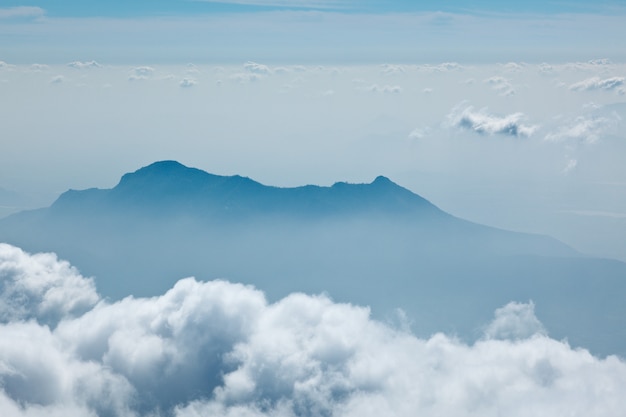 Bergen in de wolken. Kodaikanal, Tamil Nadu