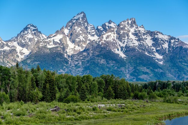 Bergen in het Nationale Park van Grand Teton