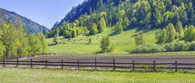 Bergen in het voorjaar, landelijk landschap met akkerland en bos