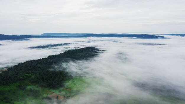 Bergen met bomen en mist in thailand