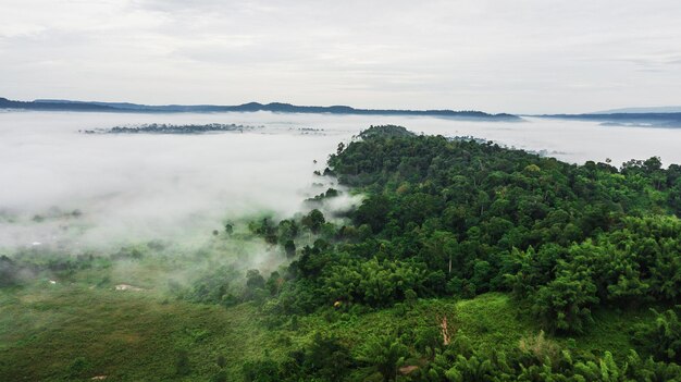 Bergen met bomen en mist in thailand