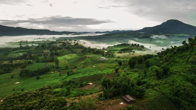 Bergen met bomen en mist in thailand