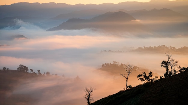 Bergen met dikke mist en een ochtendzon komen op op het platteland.