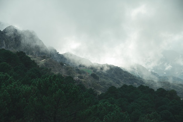 Bergen met mist op een regenachtige dag