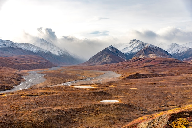 Foto bergen met sneeuw hoogste landschap bij het nationale park van denali, alaska