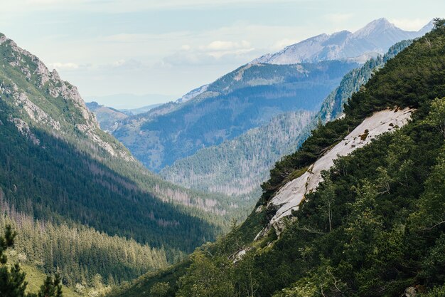 Bergen, Vallei van vijf meren, Polen, Zakopane