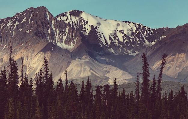 Bergen van Alaska in de zomer