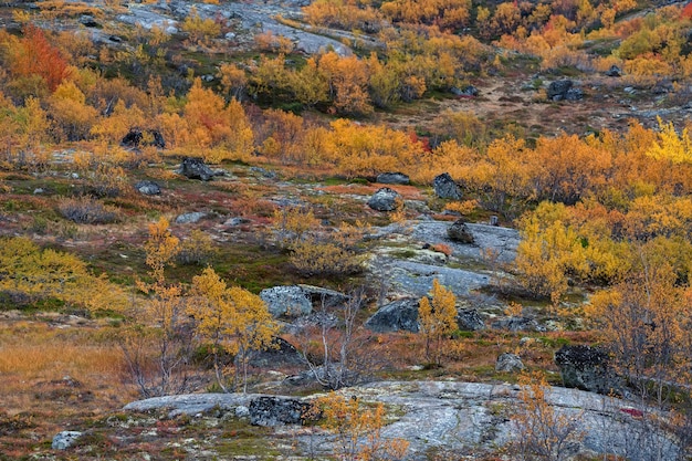 Bergen van de bostoendra in Liinahamari Herfstlandschap