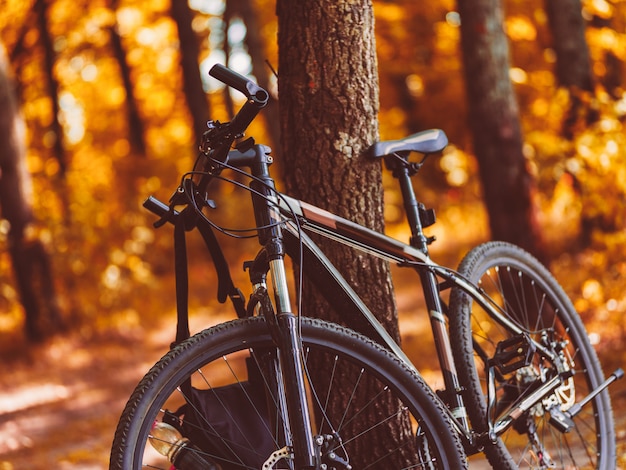 Bergfiets in het de herfstbos. Rijden in het bos.