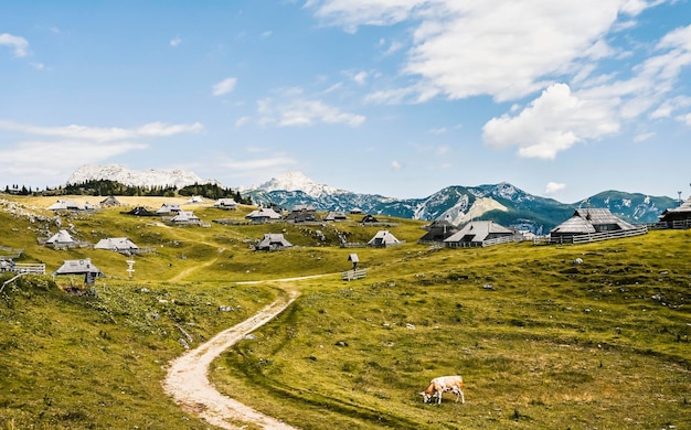 Berghut hut of huis op heuvel Velika Planina alpenweidelandschap Eco-landbouw Reisbestemming voor gezinswandelingen Kamnik Alpen Slovenië Groot plateau