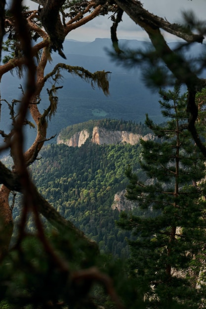 Bergketen Big Thach Zomerlandschap Berg met rotstop Rusland Republiek Adygea Natuurpark Big Thach Kaukasus