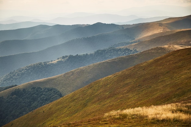 Bergketen Karpaten Oekraïne Wandel- en wandelpaden in de Borzhava-rug Landelijk gebied van de Karpaten in de herfst