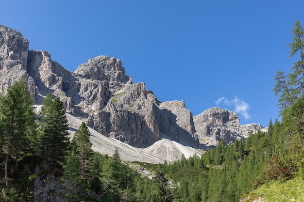 Bergketen van de Italiaanse Dolomieten en bossen op een mooie zonnige zomerdag