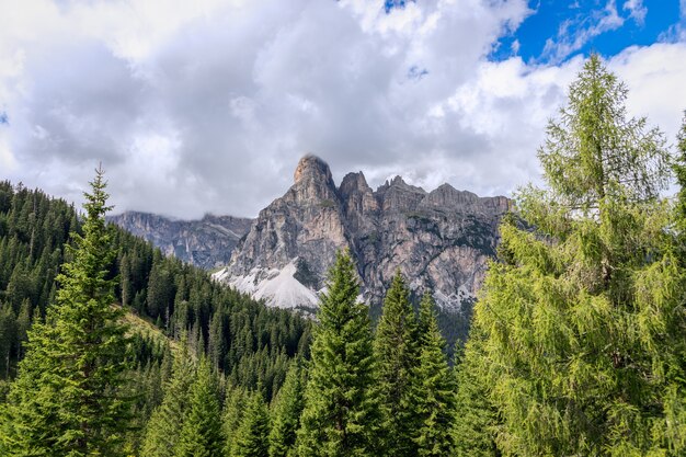 Bergketen van de italiaanse dolomieten omgeven door bos. trentino-alto adige, italië