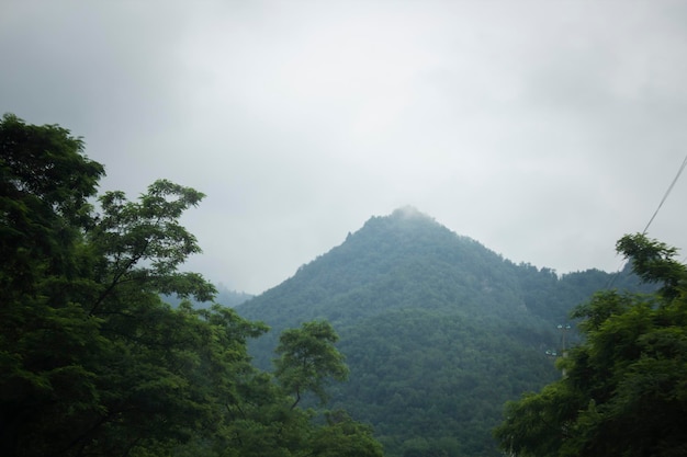 Bergketens bedekt met bos onder de wolken