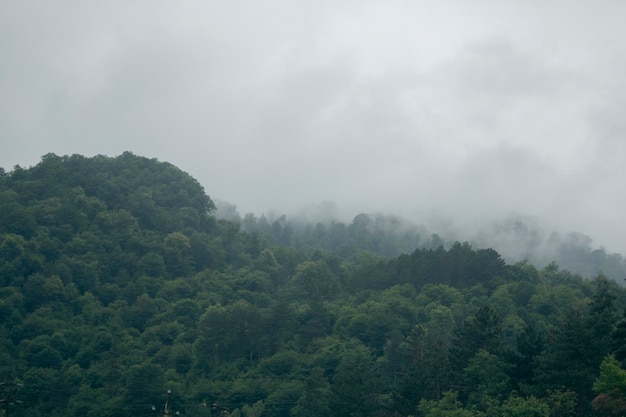 Bergketens bedekt met bos onder de wolken