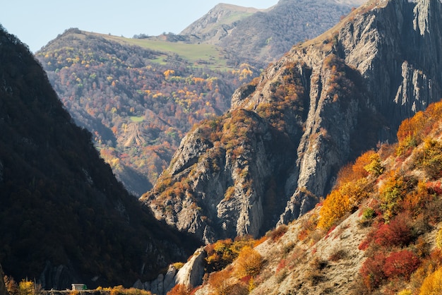 Bergkloof in de herfst