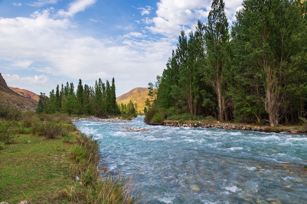 Bergkloof met een rivier